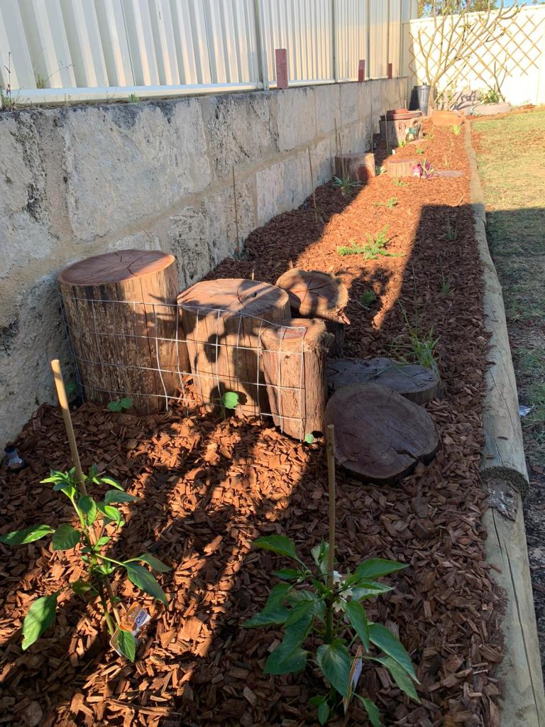 Jarrah logs, chillies, mulch and plants