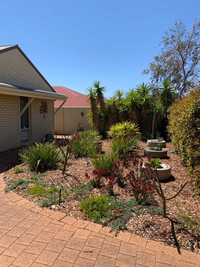 View from the garage - I love driving in to this
