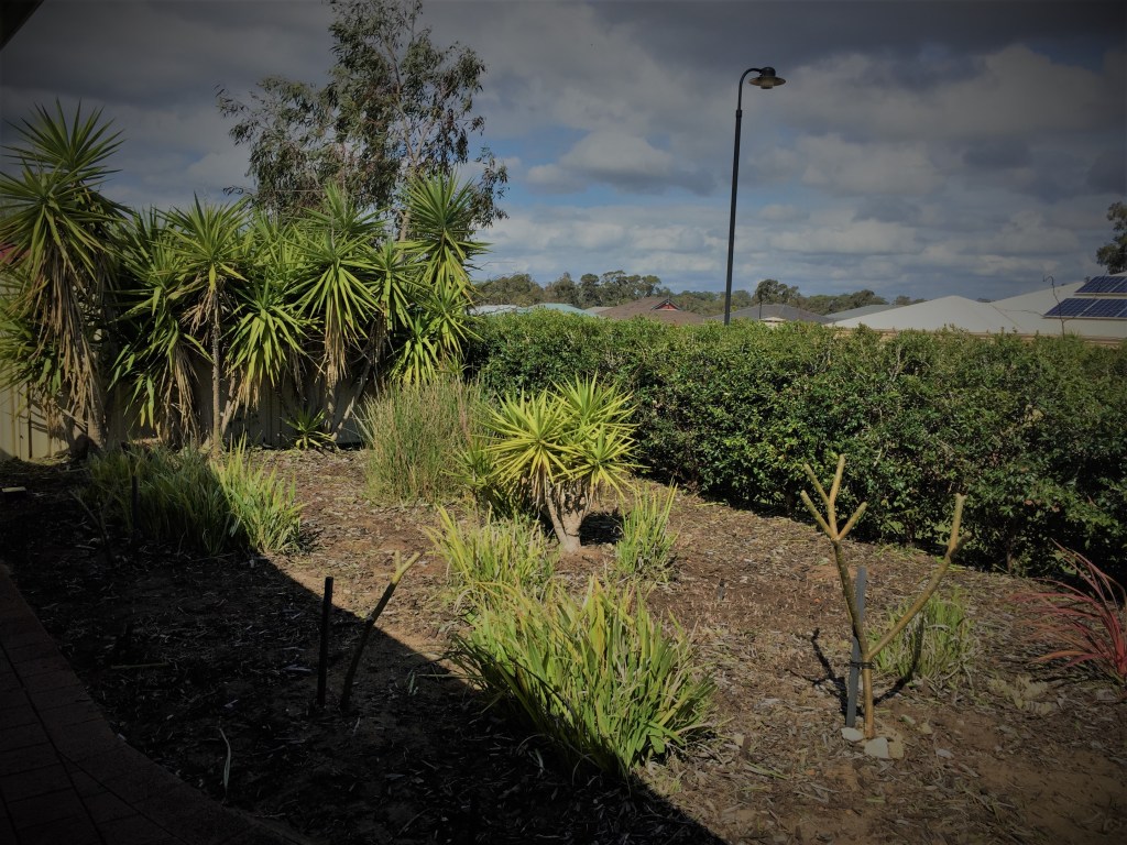 After the big cutback