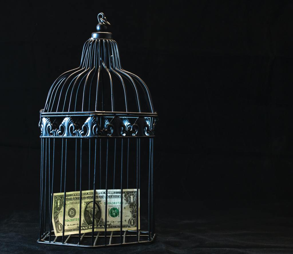 Ornate, steel bird cage on black background. US$1 note inside.