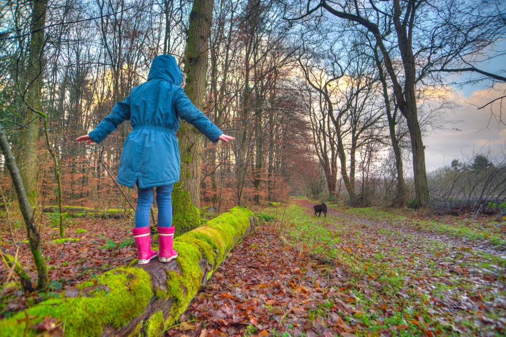 Girl in blue hooded jacket, jeans and pink gumboots, balancing on a moss-covered log. Bare trees and damp autumn leaves surround. Black dog in background. Blue sky, white clouds. 