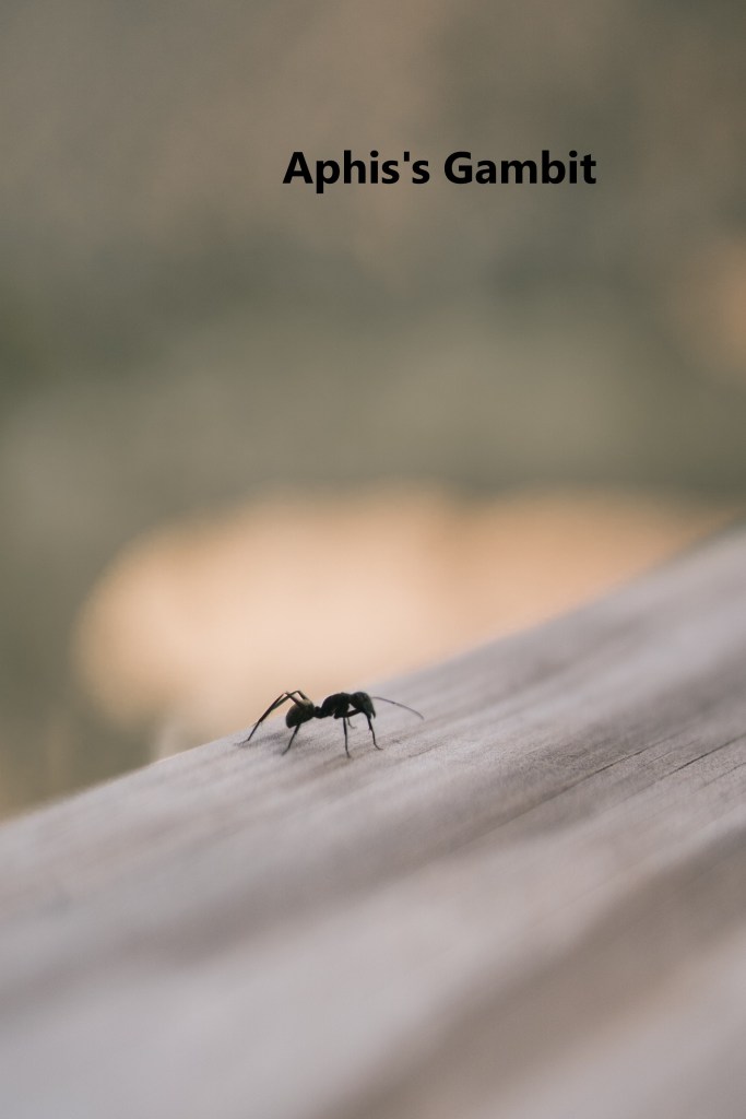 link to 'aphis's gambit'