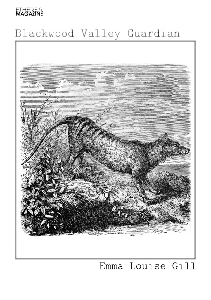 Black and white illustration of a thylacine, with the story title and author name above and below respectively, and Etherea Magazine on the top left.
