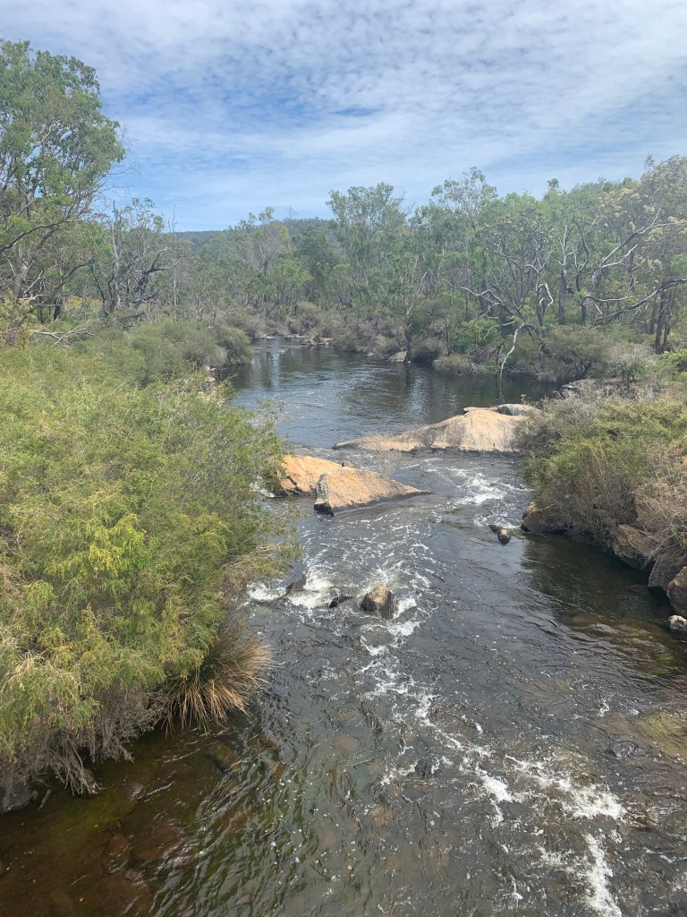 small width river, some sandy rocky islands downstream, trees surrounding, looks fast-flowing due to white water in centre