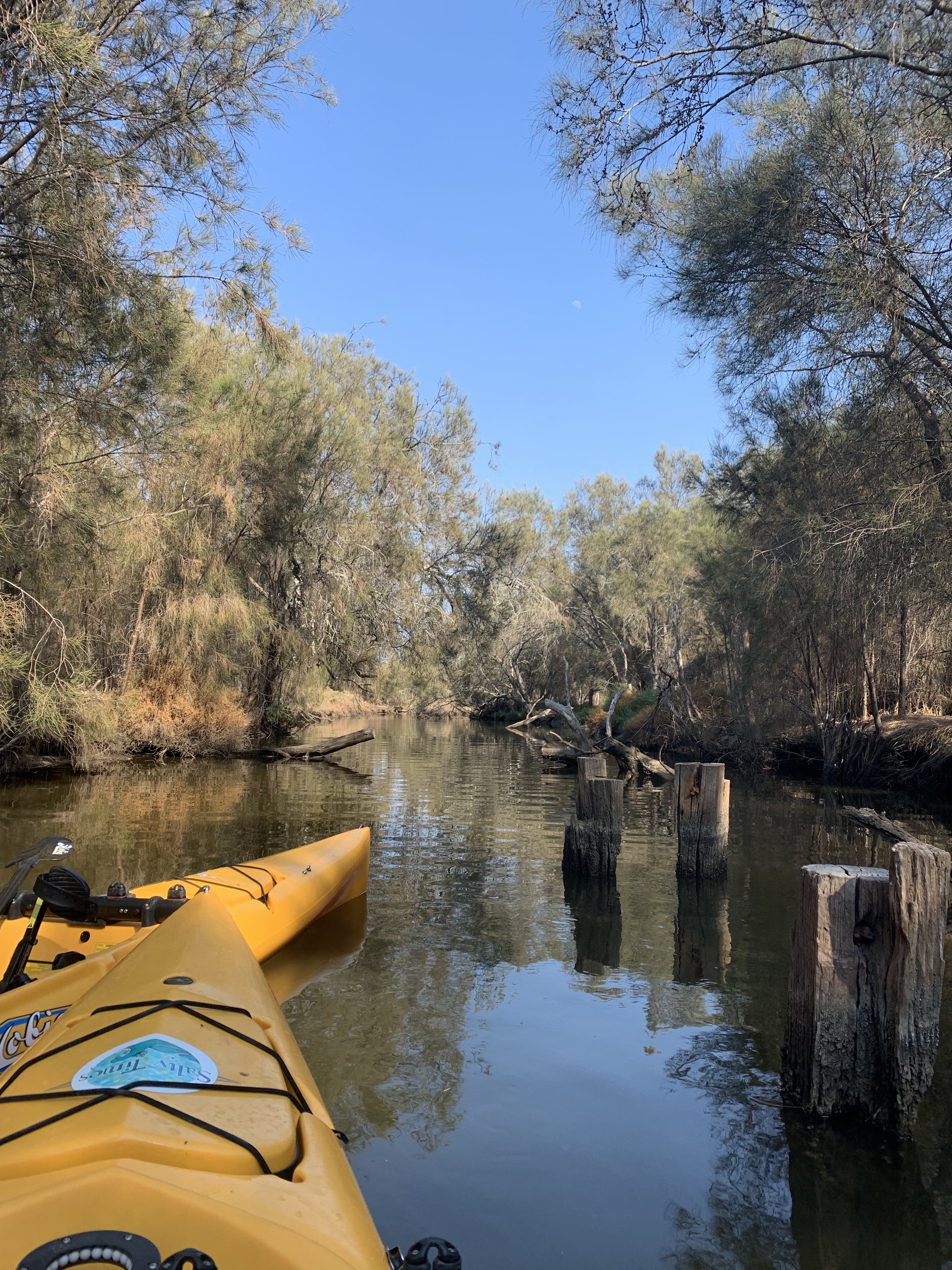 two kayak ends on left, old jetty on right, overhanging trees, calm water