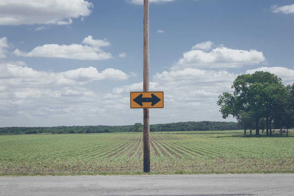 field of low green crop beneath a blue sky with white clouds, in front of the field is a wooden pole with a yellow road sign with black arrows pointing in opposite directions on it